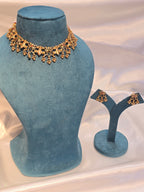 Necklace with earrings